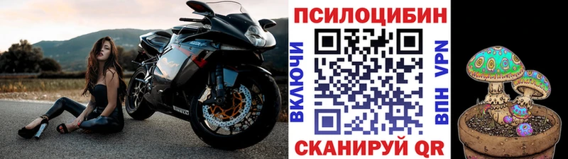 Галлюциногенные грибы Cubensis  Самара 